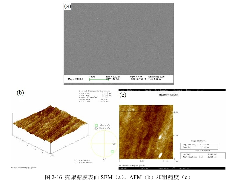 圖3-1 殼聚糖膜表面SEM(a)、AFM(b)和粗糙度(c) 