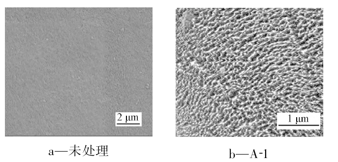 圖3 不同處理工藝導線絕緣層的SEM照片